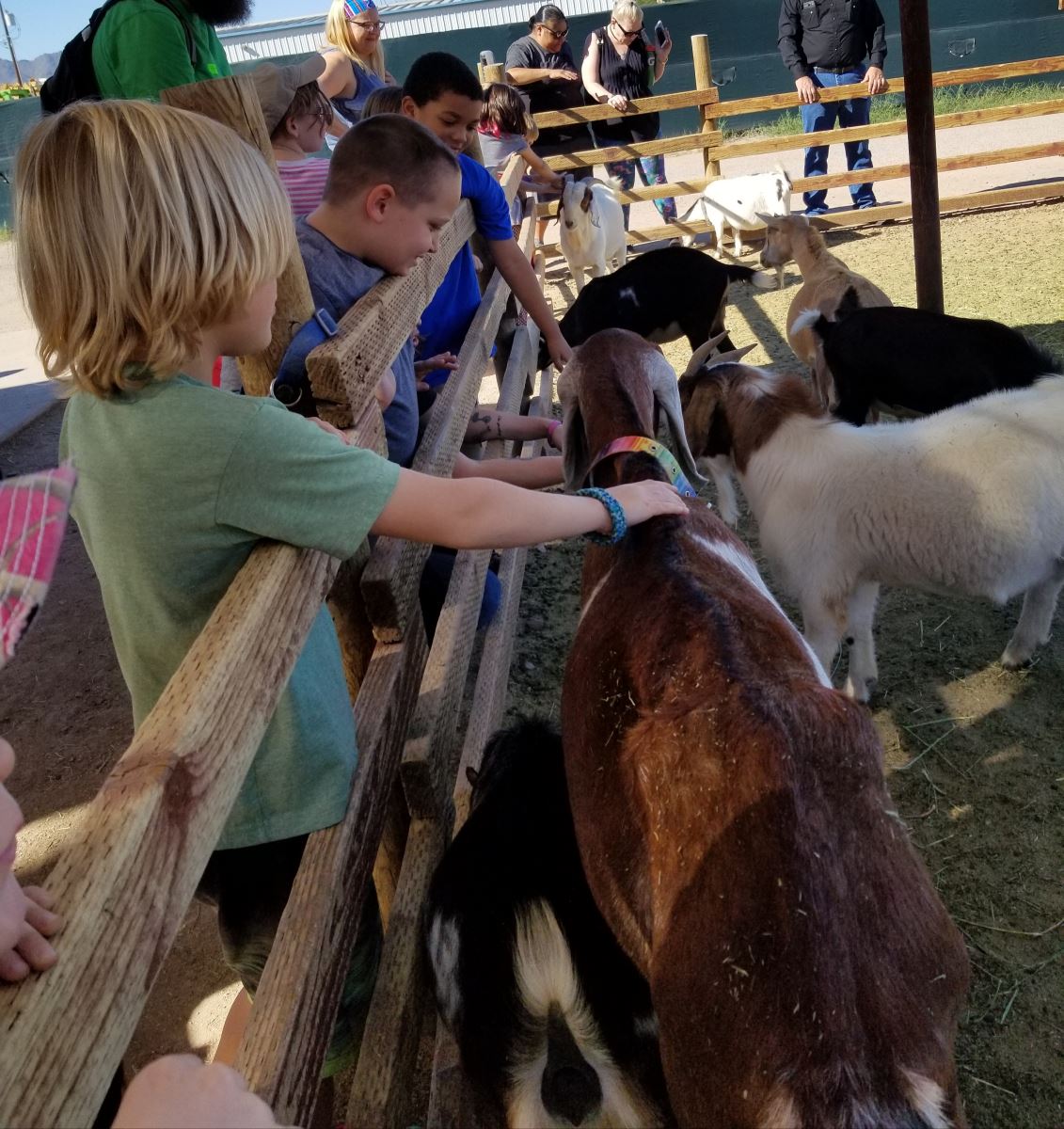 GATE students petting a goat
